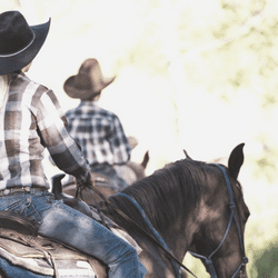 Trail Riding
