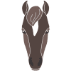 Atlantic Canada Equine Events