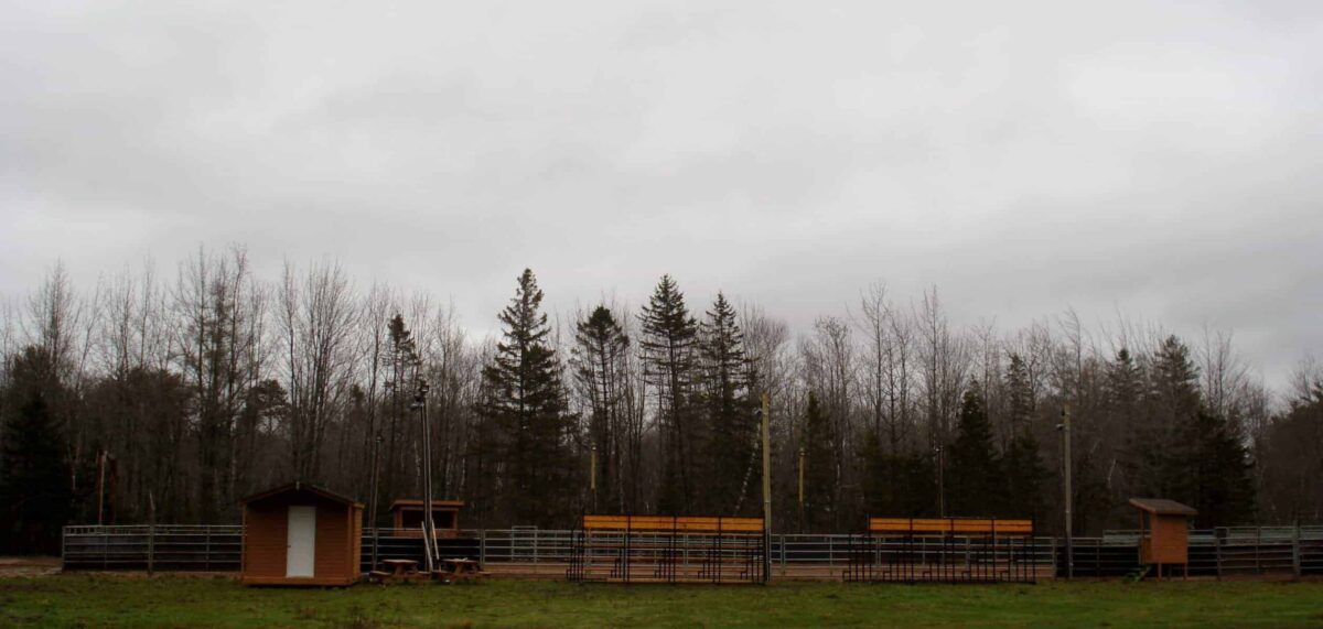 Baxters’ Cattle Company Team Cattle Penning Show 2026