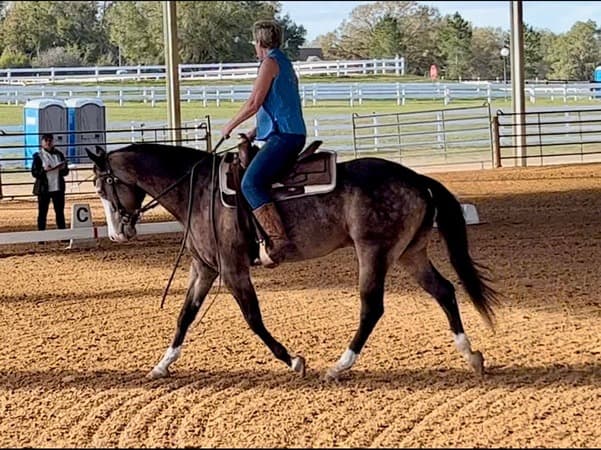 Lesley Elchuck riding