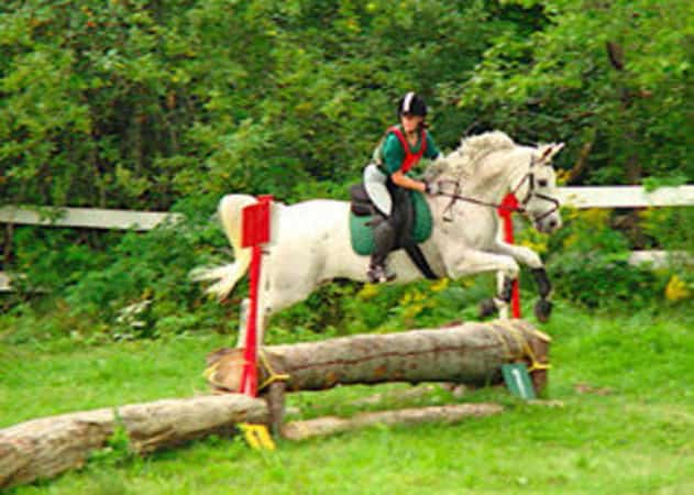 cross country jumping