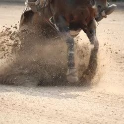 Crooked Creek Reining Classic