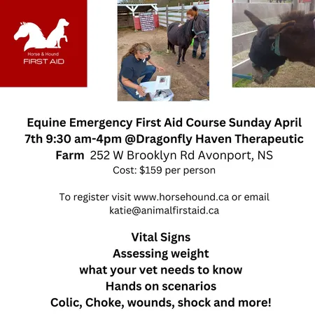 Equine Emergency First Aid @ Dragonfly Haven