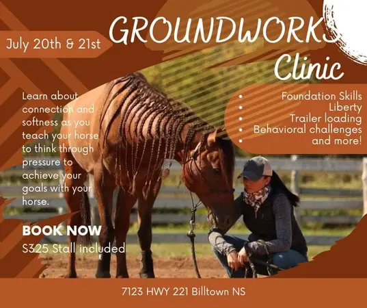 Danique groundworks clinic