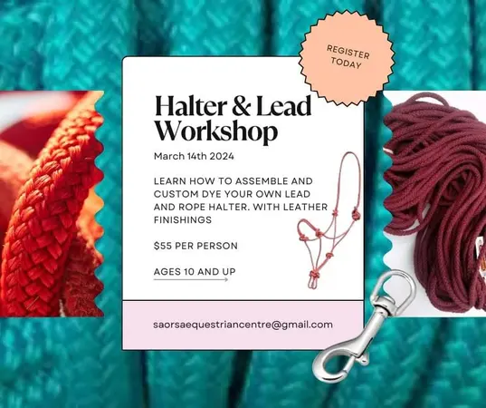 Halter & lead workshop