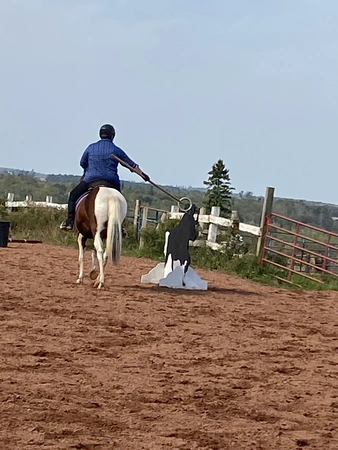 Working equitation