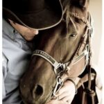 david cowley hugging horse