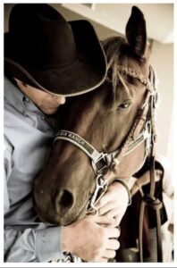 david cowley hugging horse