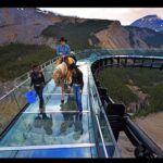 david cowley walking horse on sky walk with 2 women handlers spotting