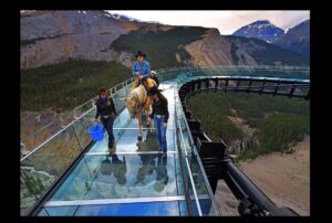 david cowley walking horse on sky walk with 2 women handlers spotting
