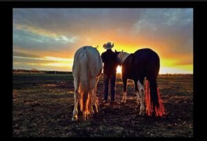 david cowley with 2 horses facing sunset