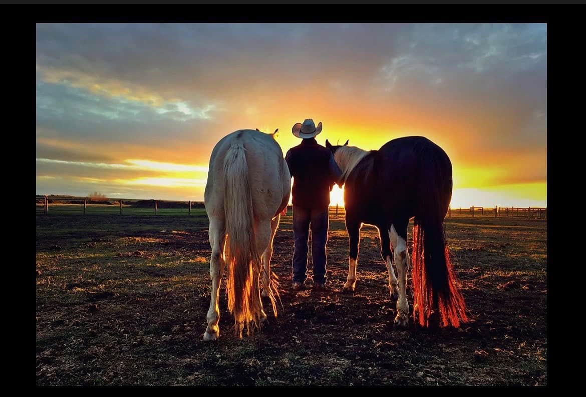 david cowley with 2 horses facing sunset