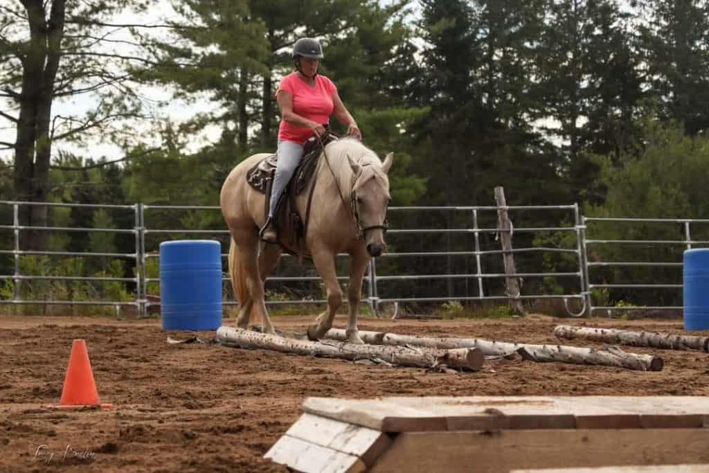 horse and rider navigating ground poles
