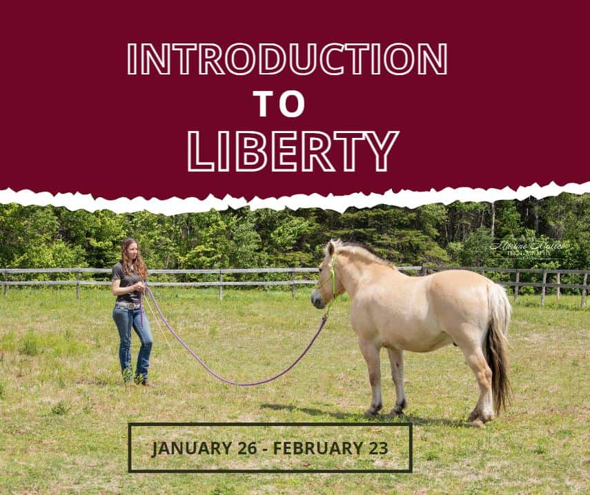 introduction to liberty poster