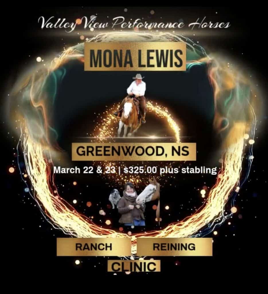 Mona Lewis clinic poster