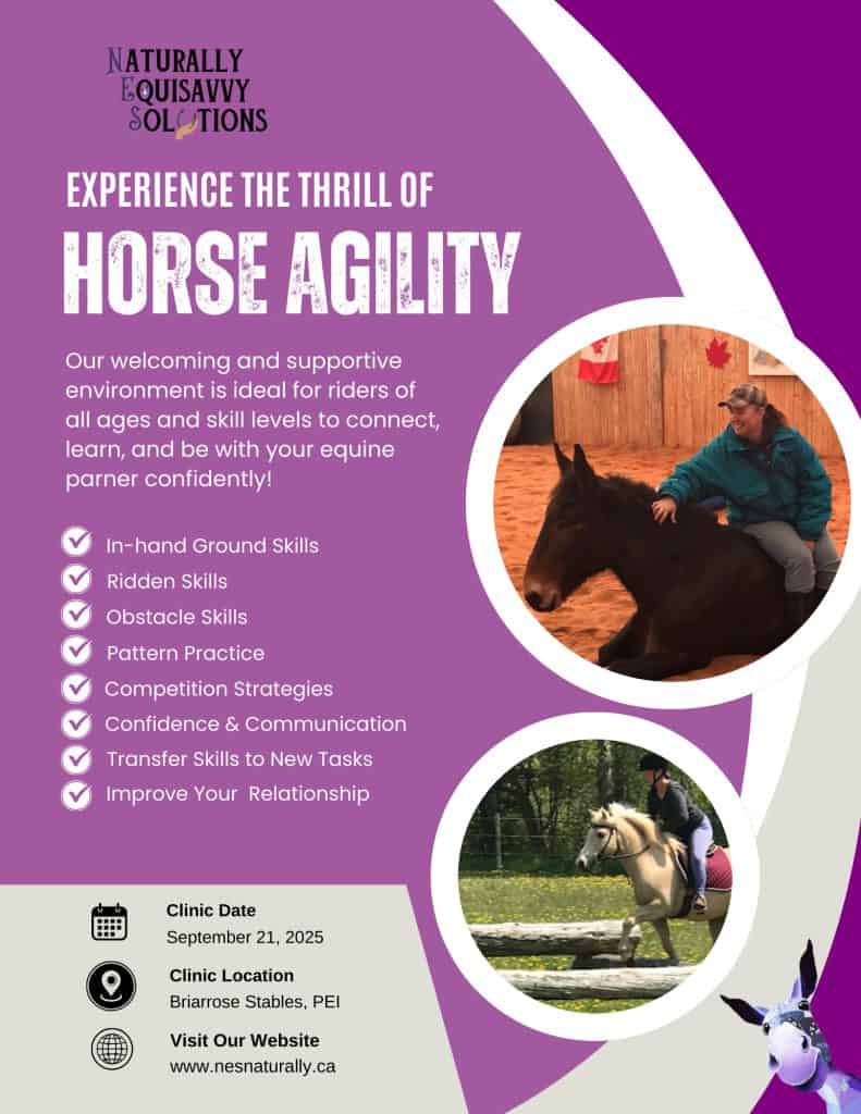 Horse Agility Clinic Flyer