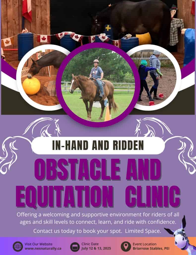 Obstacle Equitation Clinic Flyer
