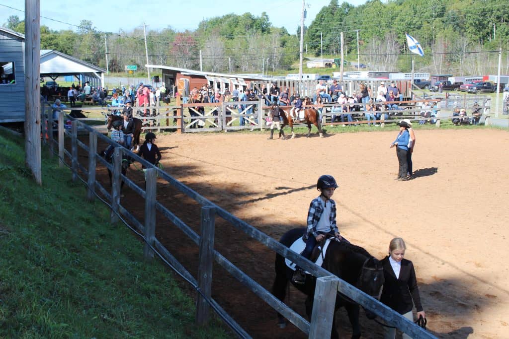 leadline youth horse riding class