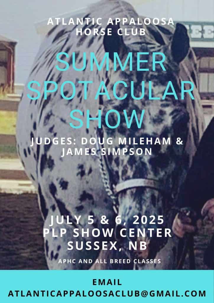 Summer Spotacular Show poster