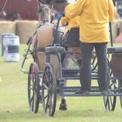 Beginner Driving Clinic