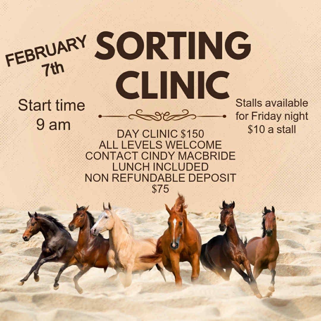 Sorting clinic