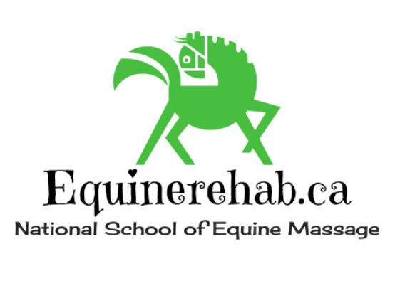 Screenshot 2025 07 15